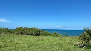 Beach Cliff on Sale Mkoma Bay Pangani .