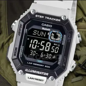 Casio Watch (Ws-B1000-8bvdf)