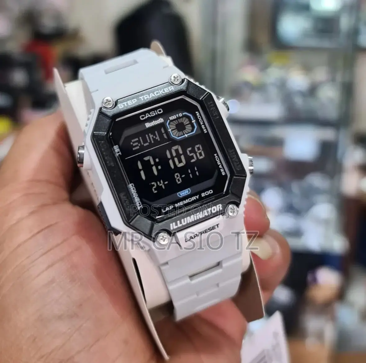 Casio Watch (Ws-B1000-8bvdf)