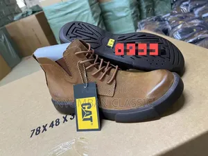Cat Mean Shoes