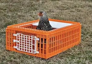 Chicken Crates