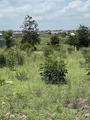 Viwanja Bunju A