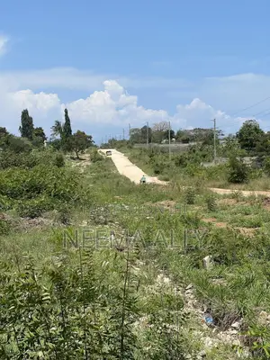 Viwanja Bunju A