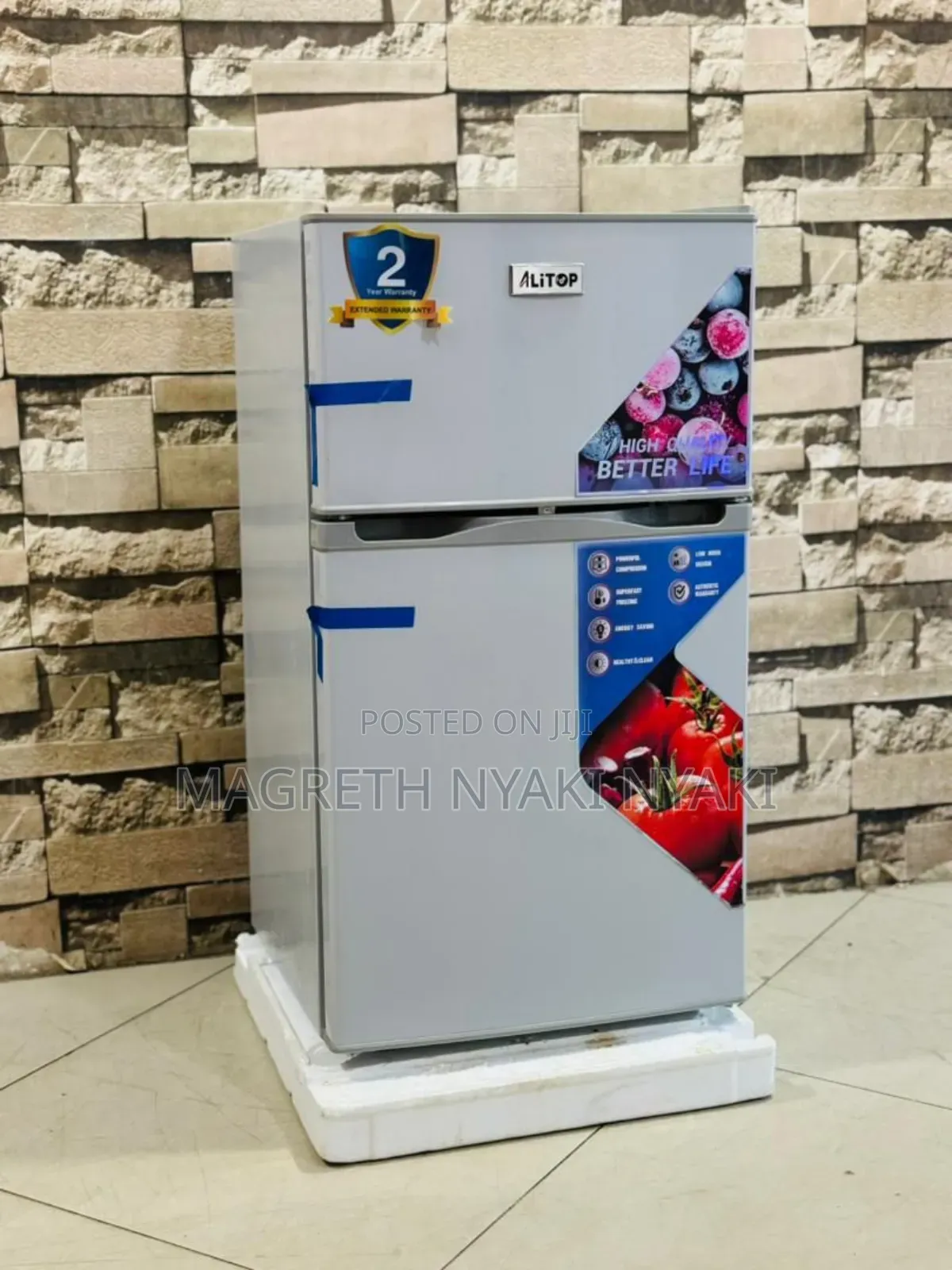 Friji Alyons Liter 100