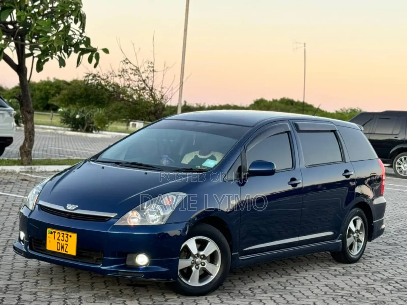 Toyota Wish 2004 Blue