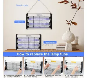 Insect Killer Indoor/Outdoor
