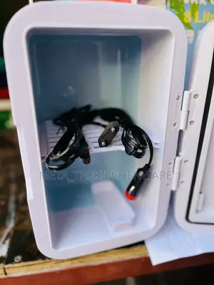 Portable Mini Car Fridge 8L