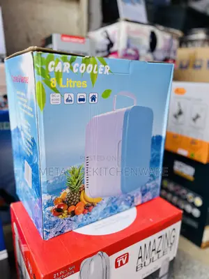 Portable Mini Car Fridge 8L