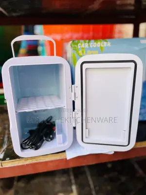 Portable Mini Car Fridge 8L