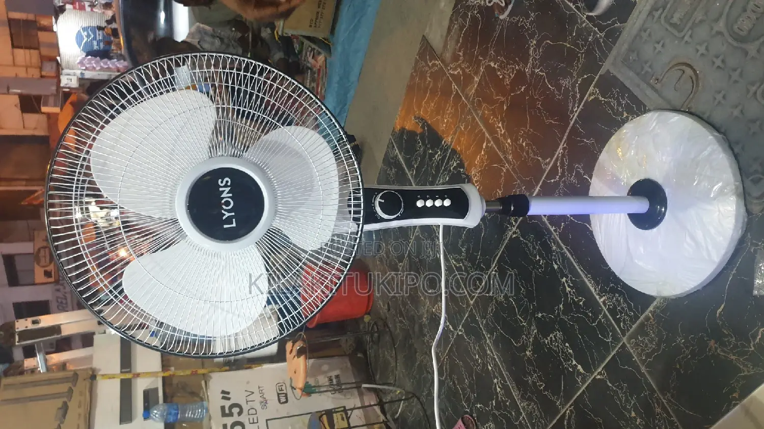 Lyons Standing Fan