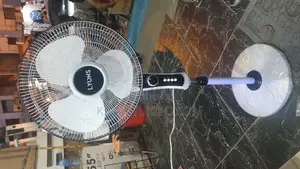 Lyons Standing Fan