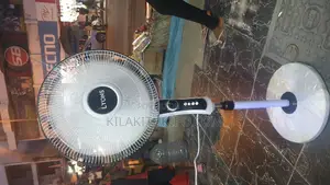 Lyons Standing Fan