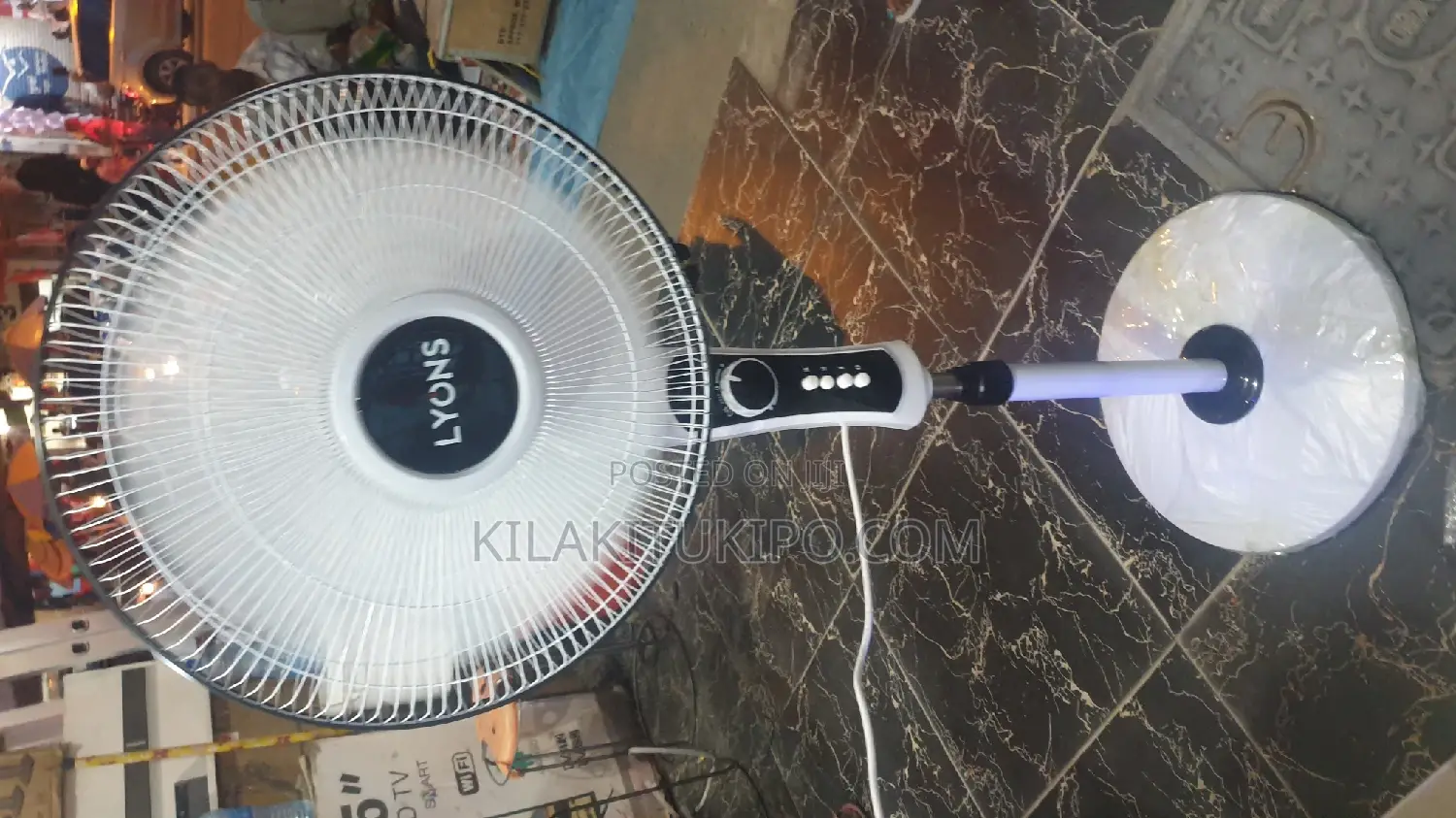 Lyons Standing Fan