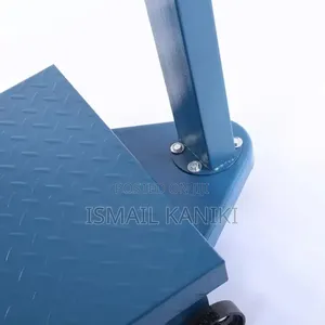 Digital Platform Scale Kg600