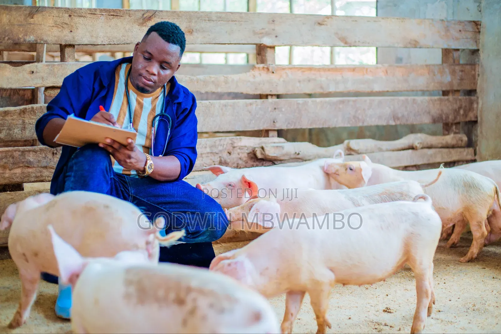 Max Pig Virutubisho Vya Nguruwe Wote