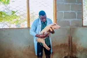 Max Pig Virutubisho Vya Nguruwe Wote