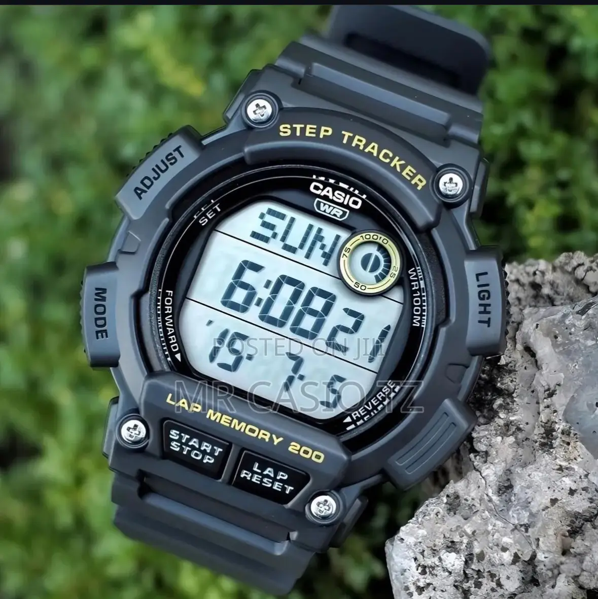Casio Watch for Runners (Ws-2100h-8avdf)