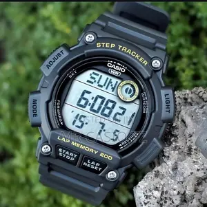 Casio Watch for Runners (Ws-2100h-8avdf)