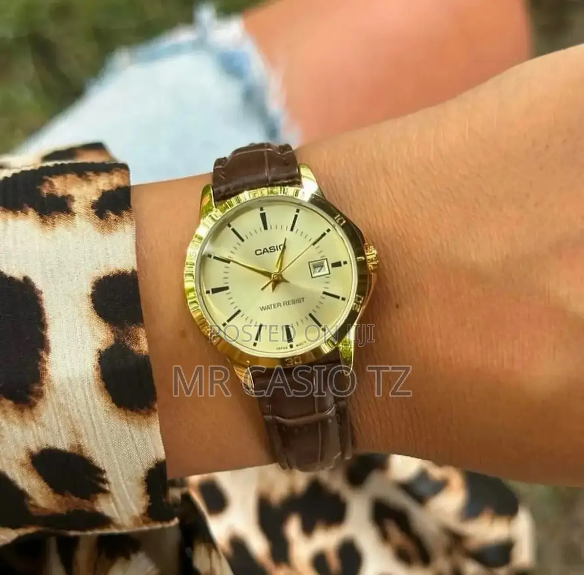 Casio Watch for Women (Ltp-V004gl-9audf)