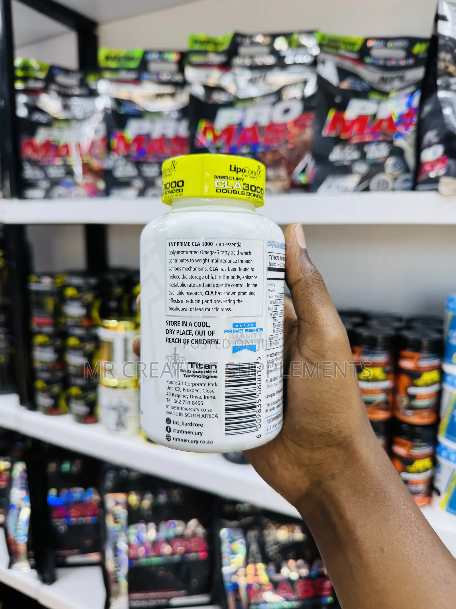 CLA Congregated Acid Weight Loss