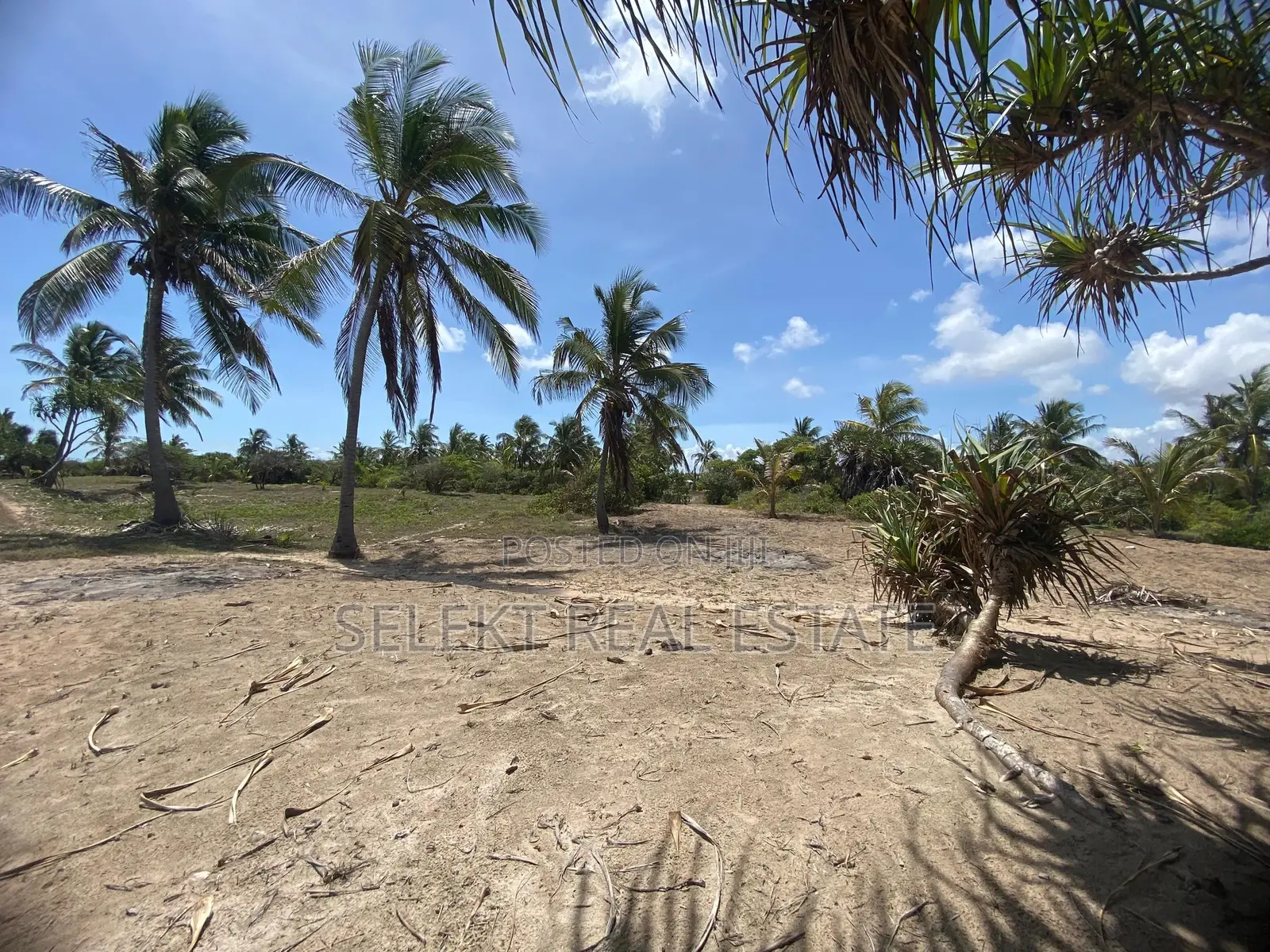 9acres Prime Beach Plot for Sale at Kigamboni Buyuni