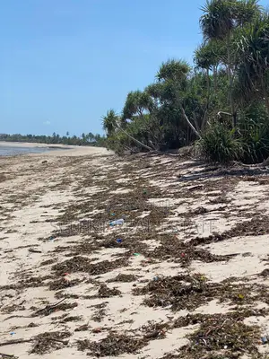 9acres Prime Beach Plot for Sale at Kigamboni Buyuni