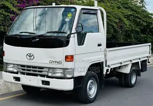 Dyna Truck Pickup