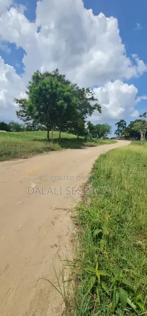 Plot Heka2.5 at Kibaha