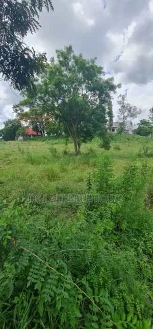 Plot Heka2.5 at Kibaha