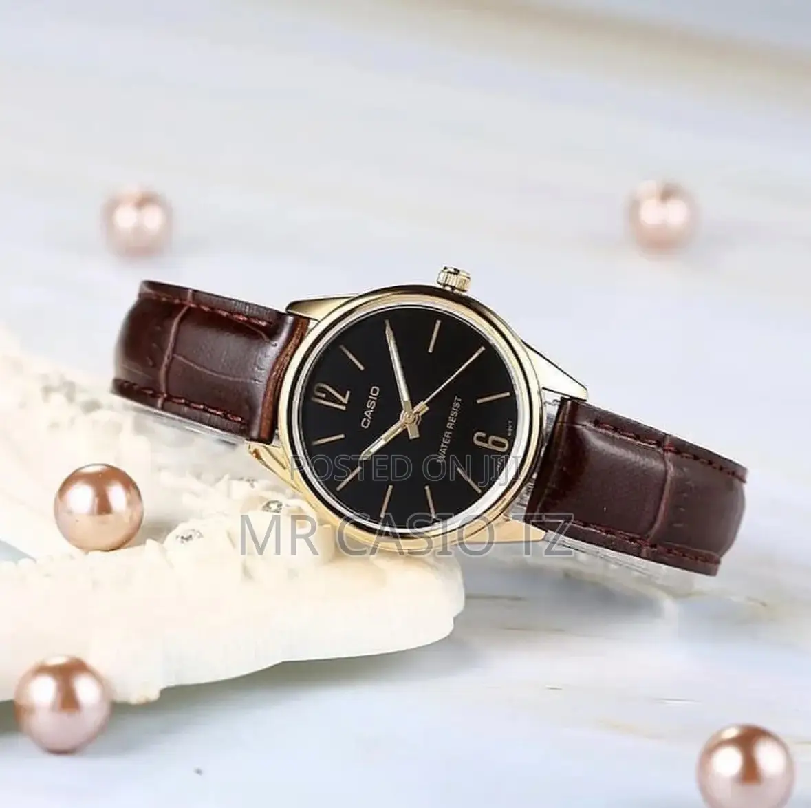 Casio Watch for Women (Ltp-V005gl-1budf)