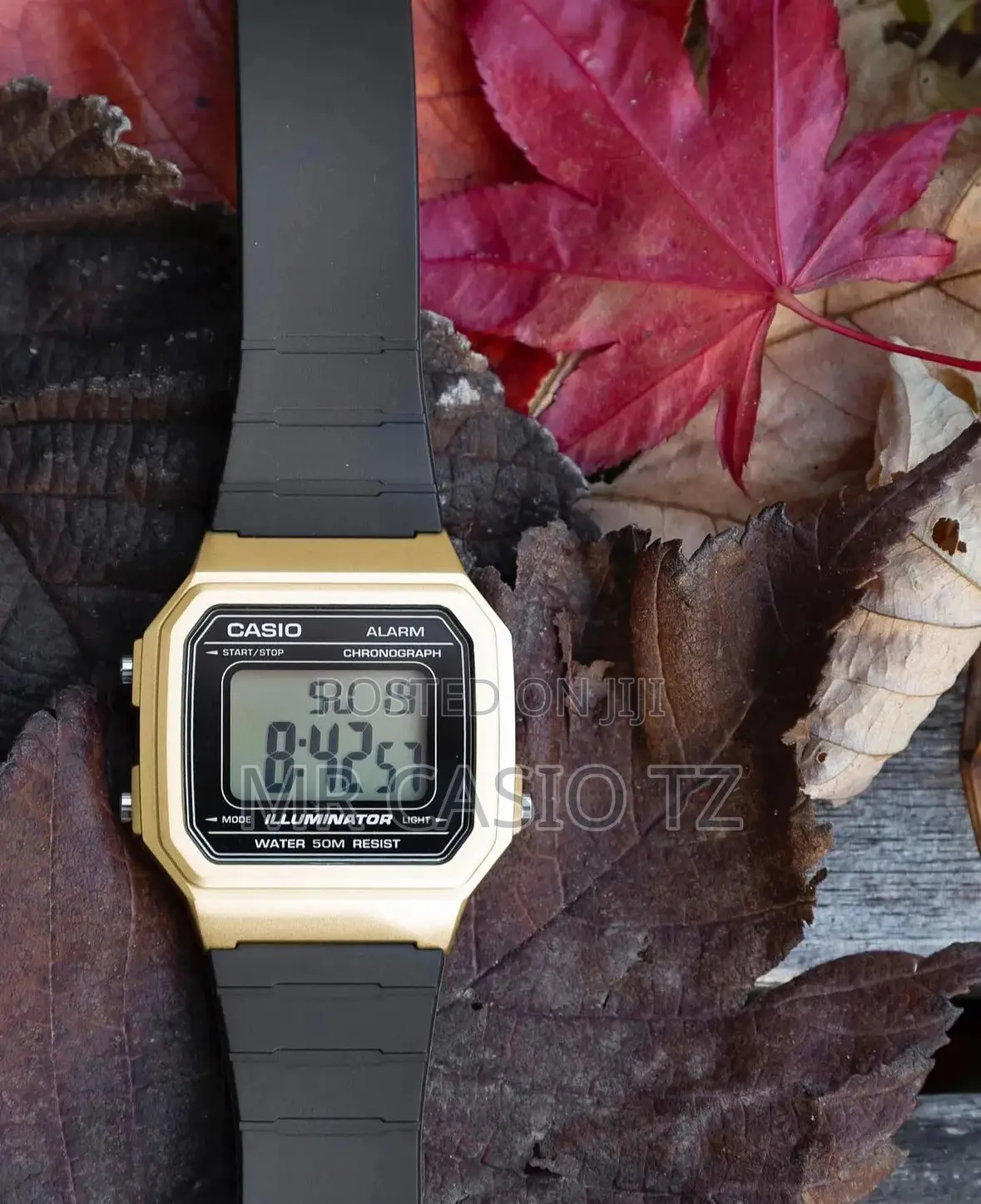 Casio Watch for Men (W-217h-9avdf)
