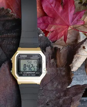 Casio Watch for Men (W-217h-9avdf)