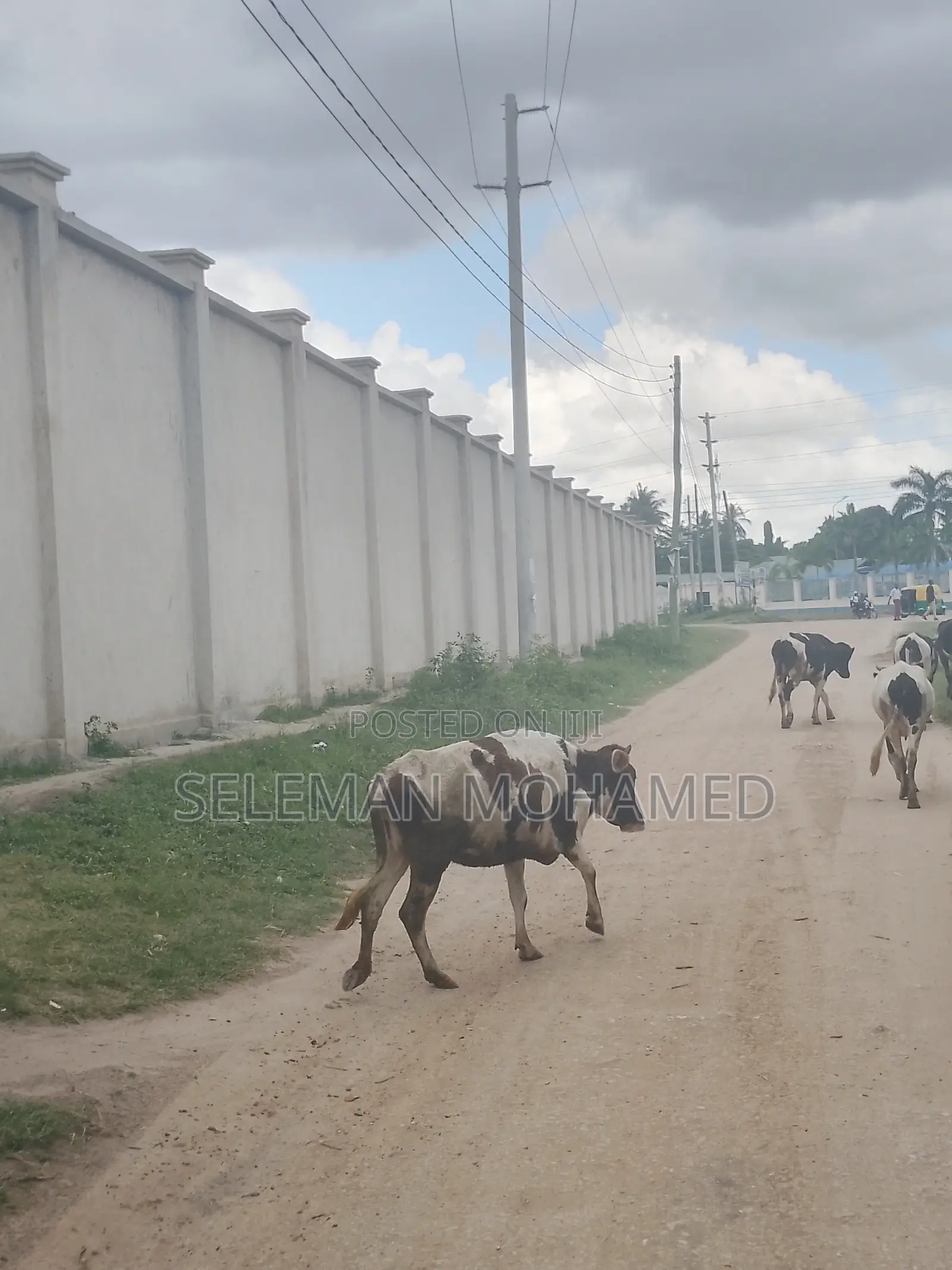 Yard Inauzwa Mbagala Ina Face Barabara Kuu.Ina Heka 3