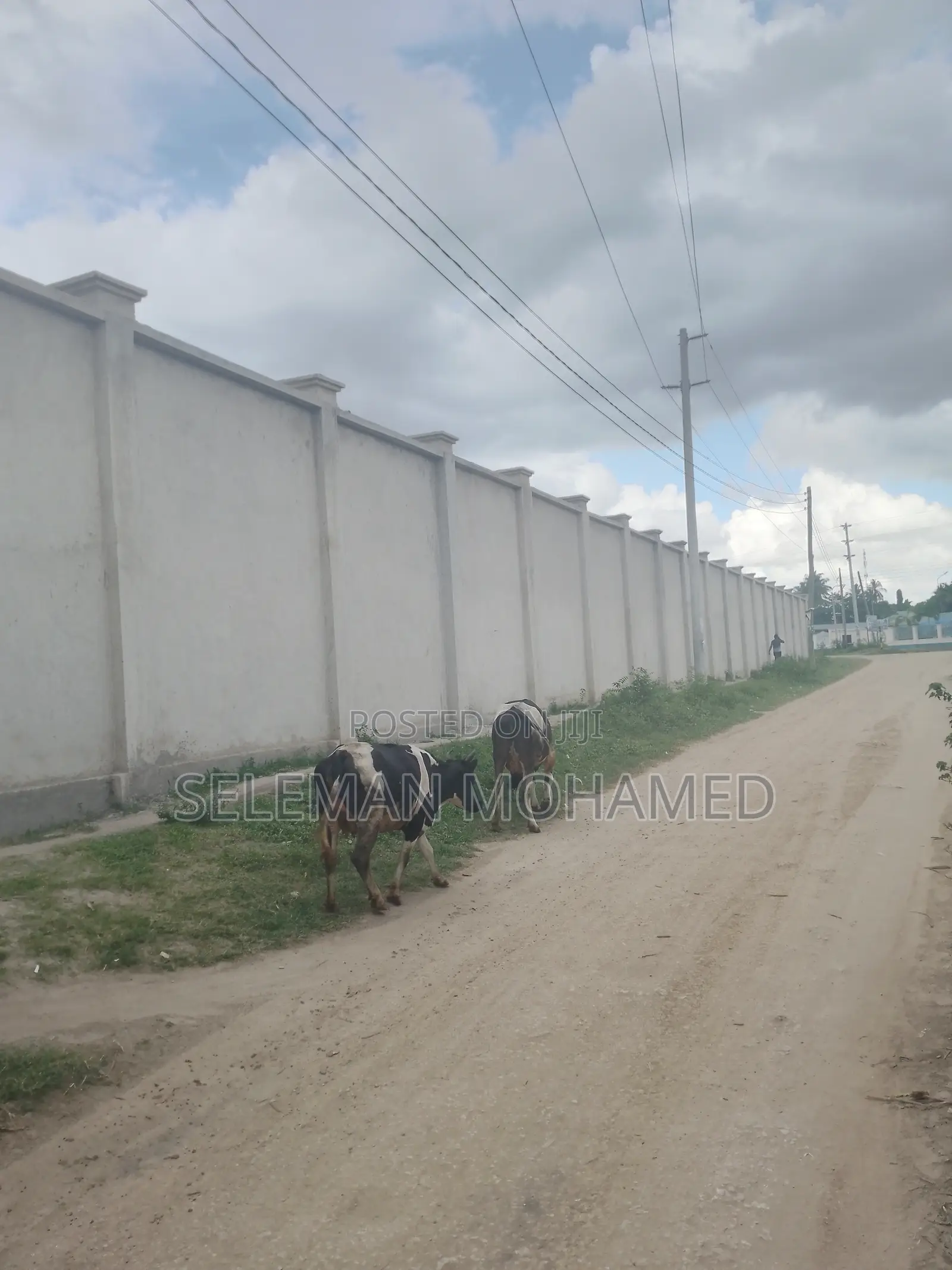 Yard Inauzwa Mbagala Ina Face Barabara Kuu.Ina Heka 3