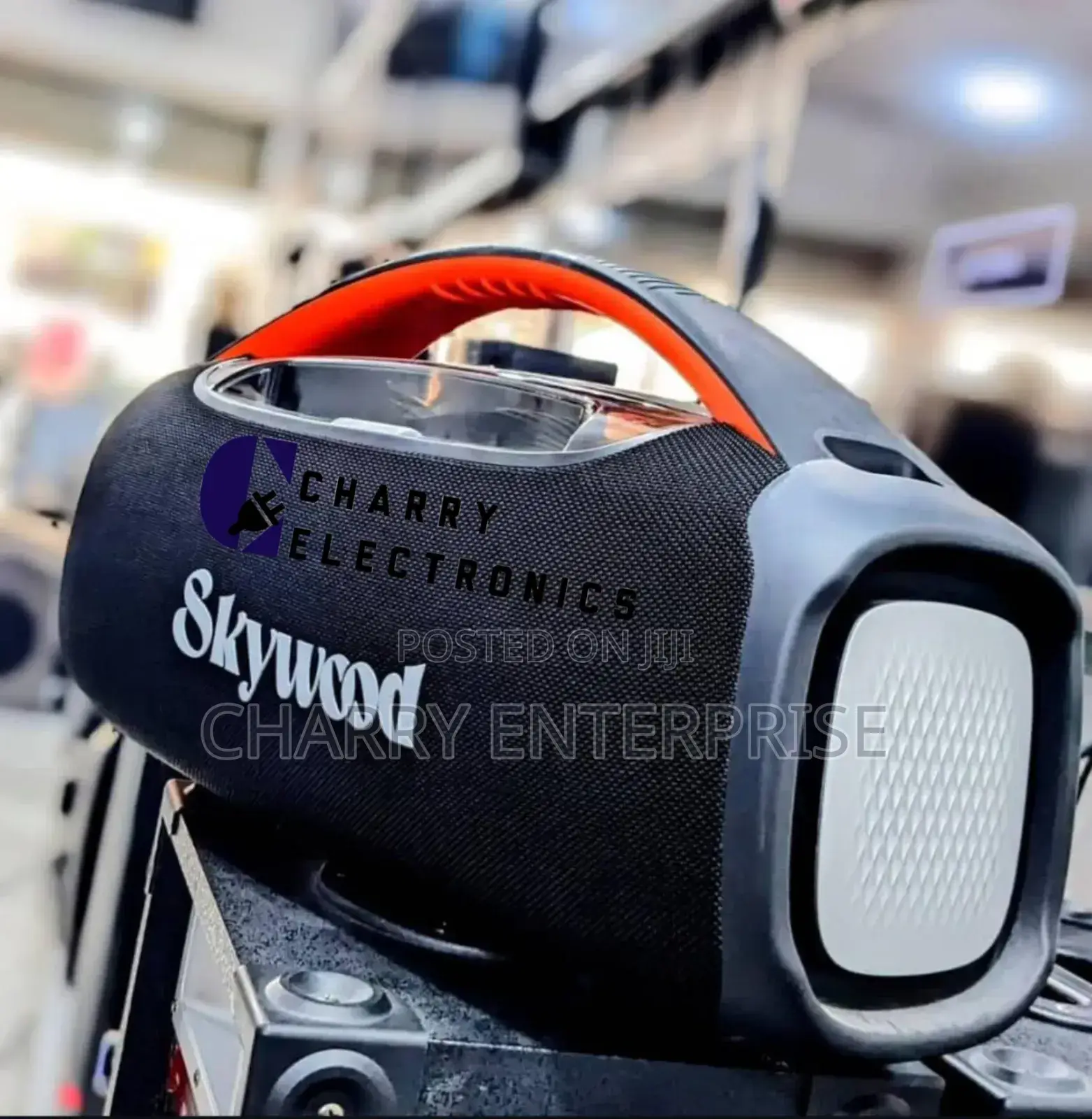 Skywood Boombox Speaker Soundbox 24E 120W With Wireless Mic