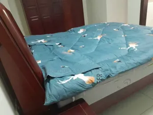 1bdrm Apartment in Upanga for rent
