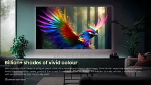 Hisense 55U6N Pro Mini-Led Uled Vidaa Smart TV