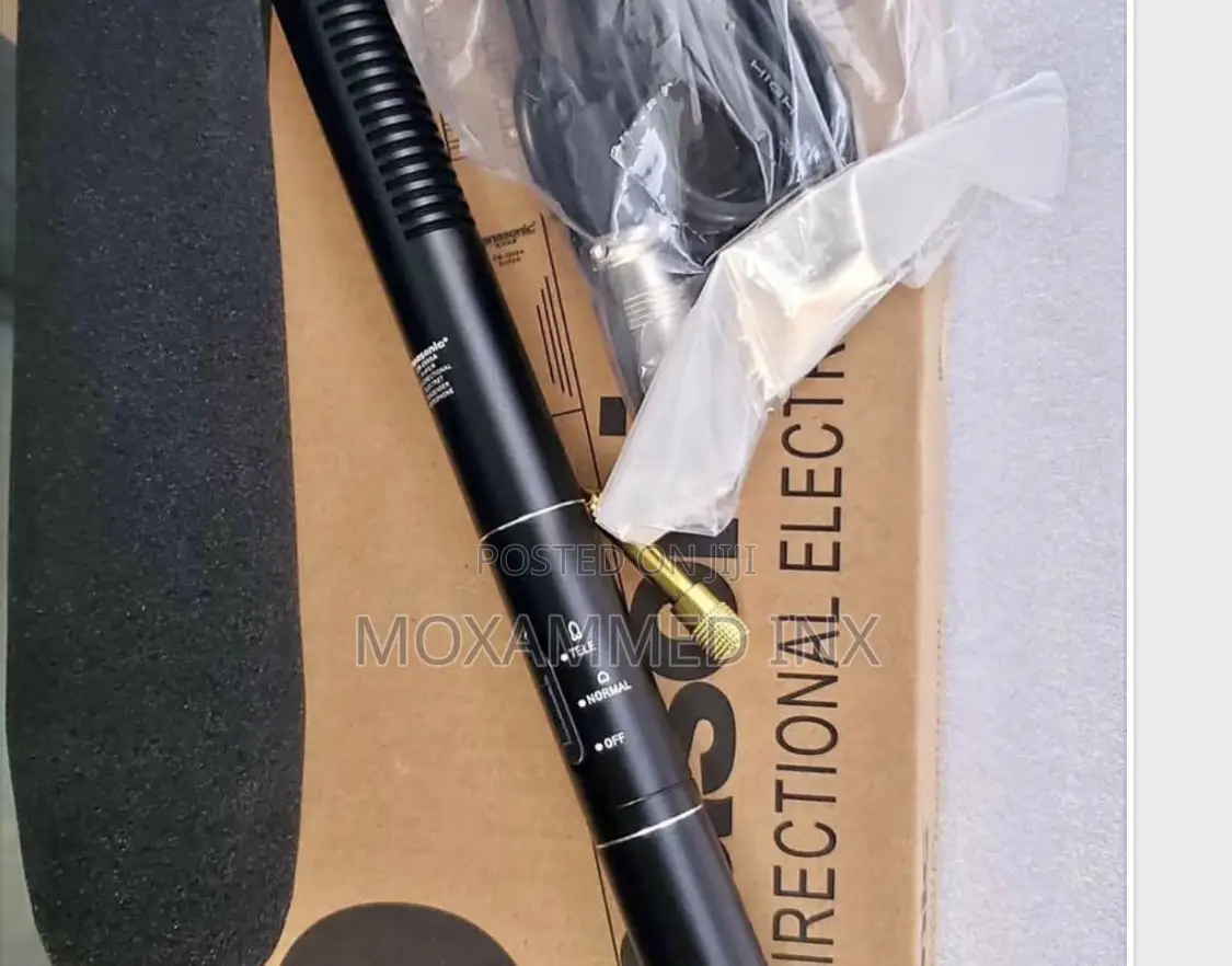 Panasonic Boom Mic.