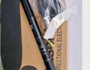 Panasonic Boom Mic.