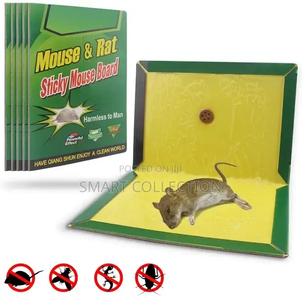 Mouse Rat Glue Trap 5PCS Set