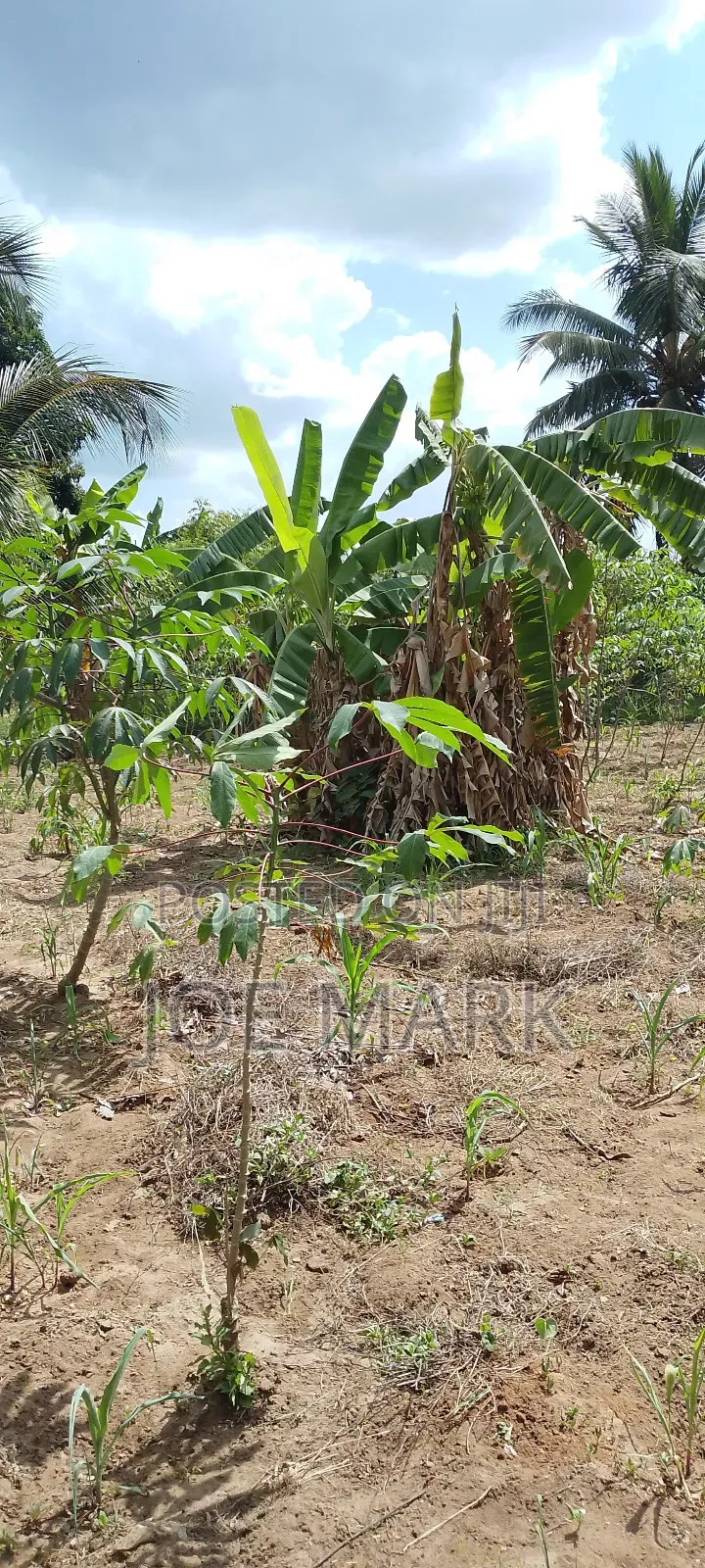 4bdrm House in Mark Real Estate, Kibaha for sale