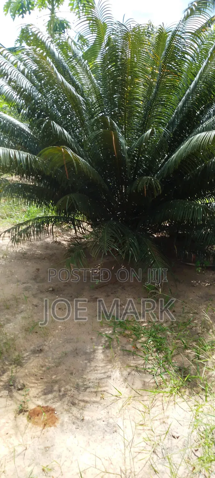 4bdrm House in Mark Real Estate, Kibaha for sale