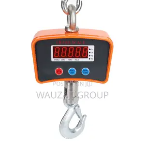 Crane Scale