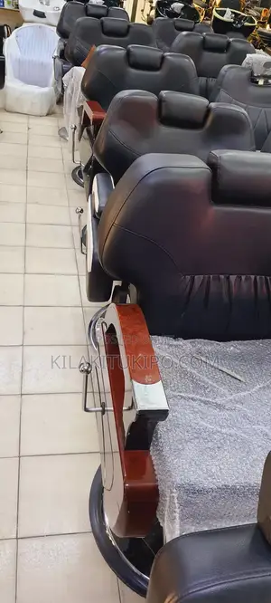 Confortable Luxury Saloon Chairs Heavy Duty
