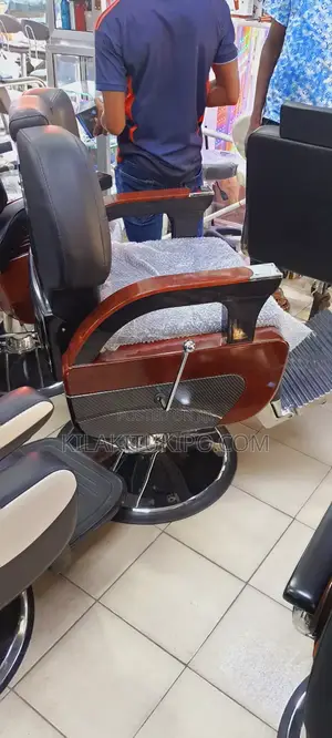 Confortable Luxury Saloon Chairs Heavy Duty