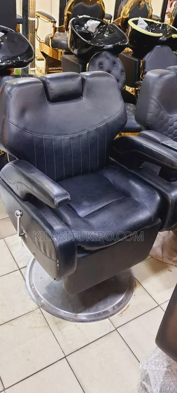 Confortable Luxury Saloon Chairs Heavy Duty