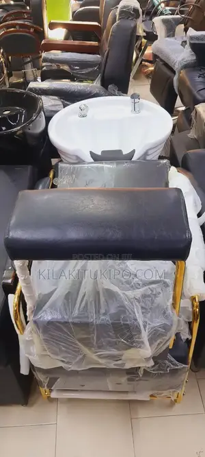 Hair Washer Shampoo Unit