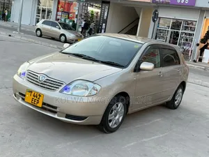 Toyota Corolla RunX 2003 Silver