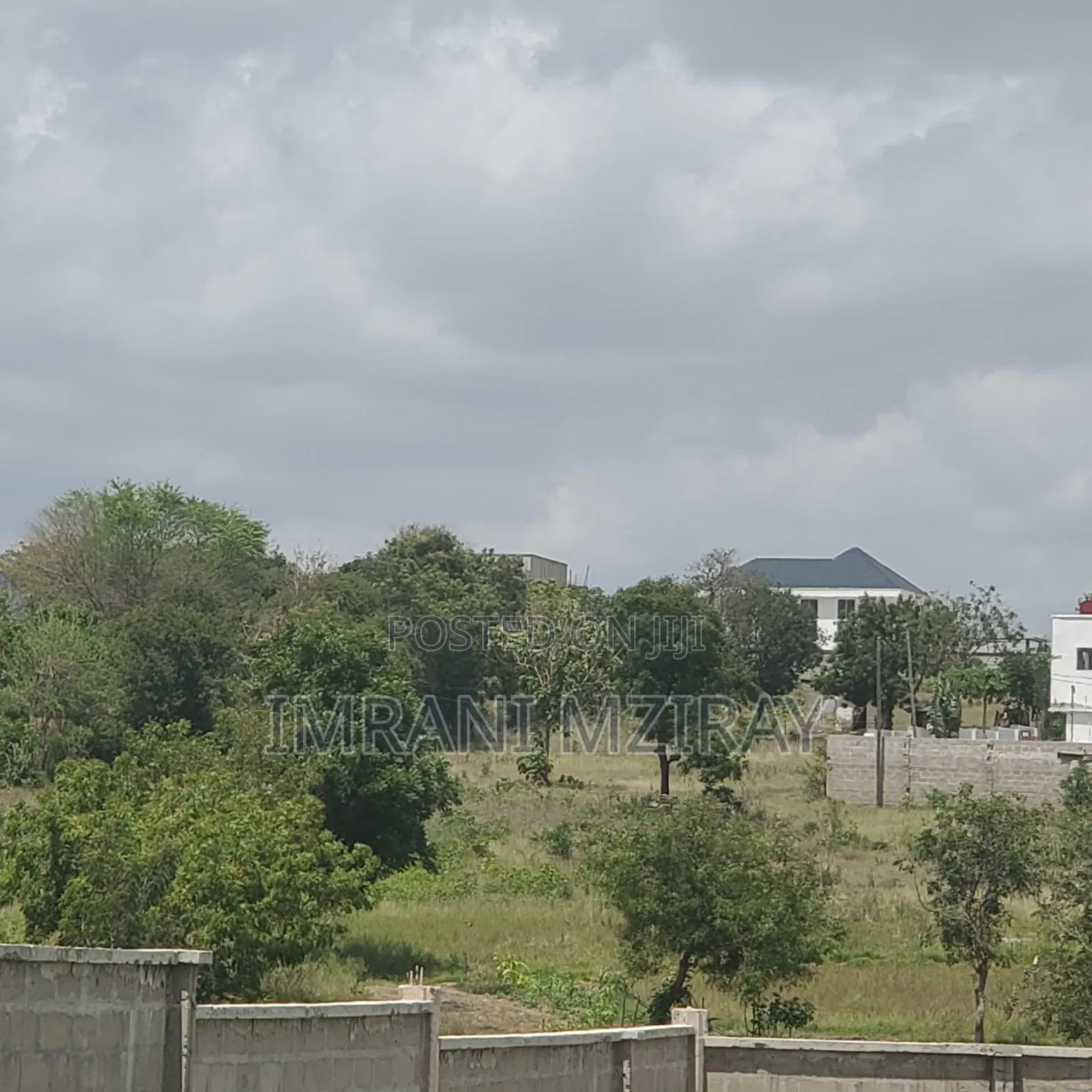 Farm_plot Mkulanga Kipatanganda