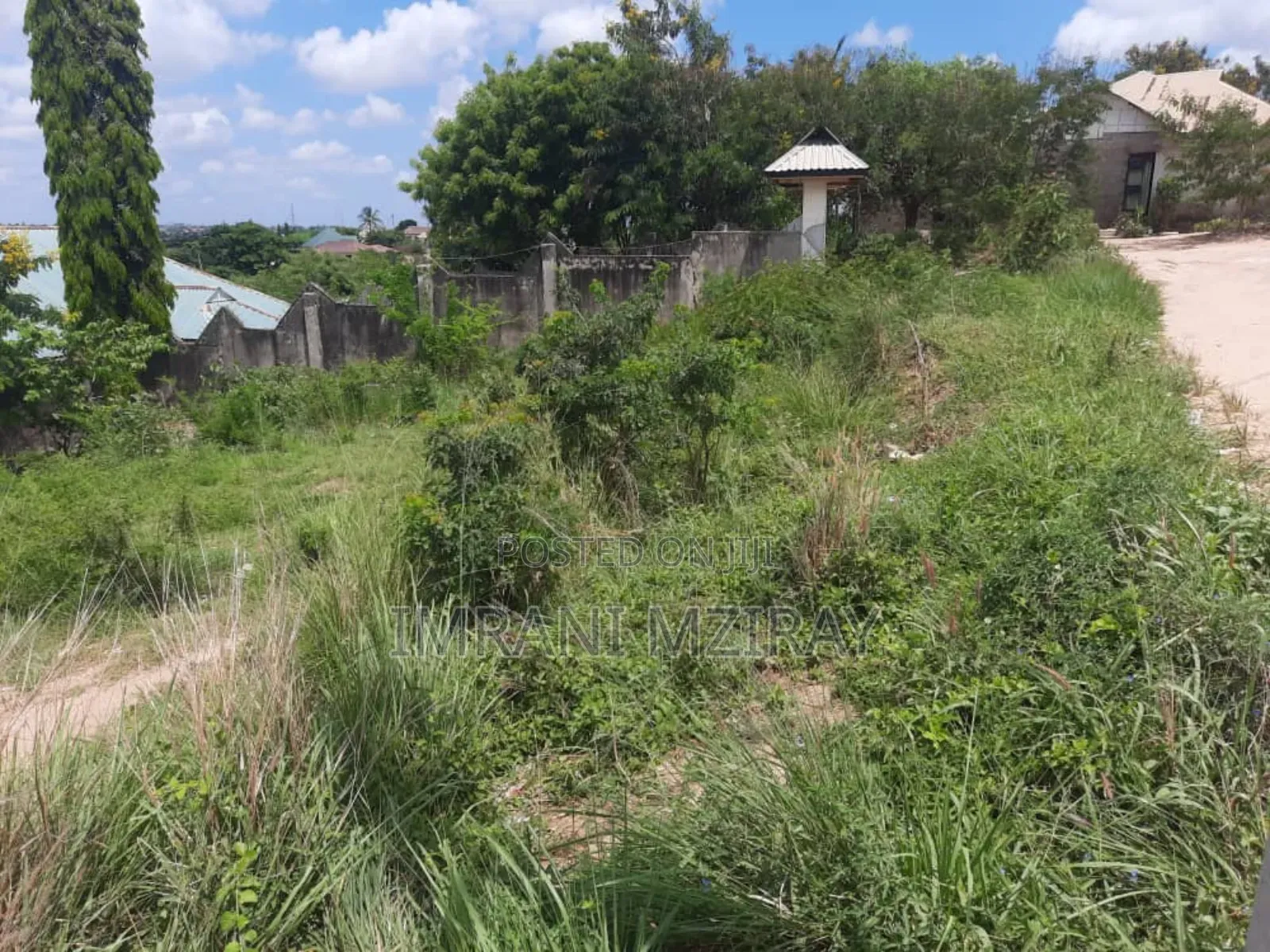 Farm_plot Mkulanga Kipatanganda